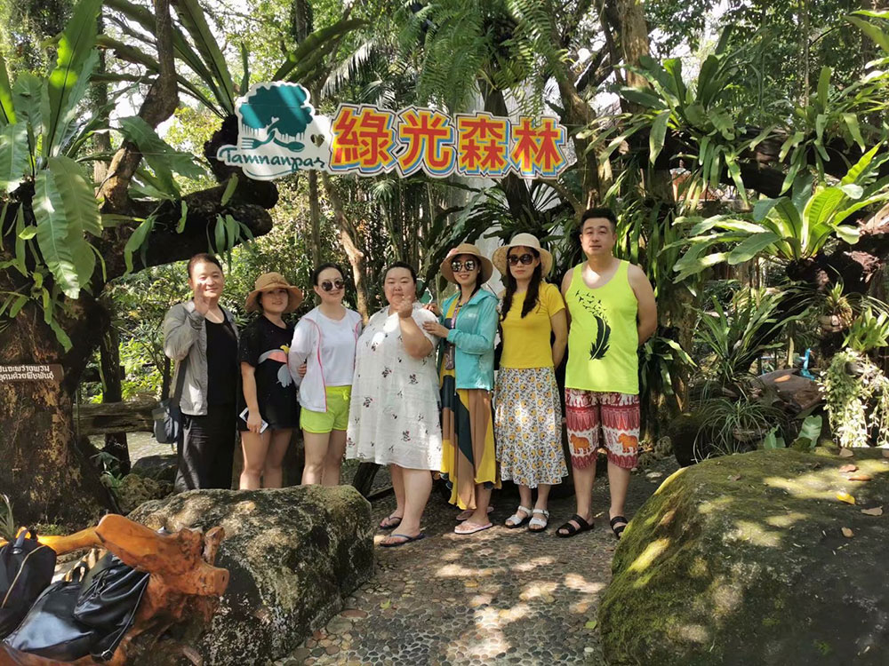 出發(fā)在鴻成，暢爽泰國游(圖2)